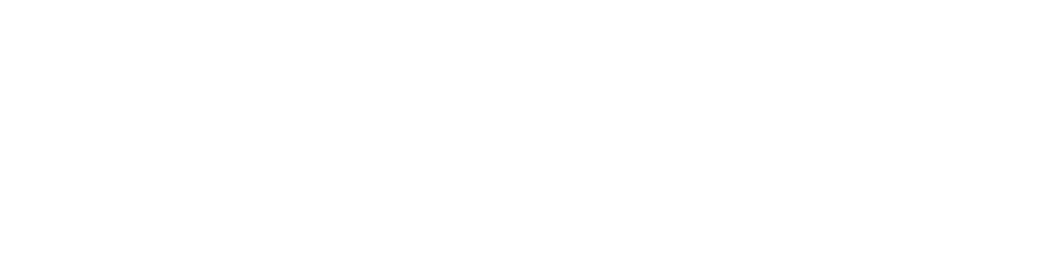 Champion Logistics