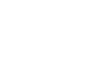 Vertex Logical Solutions