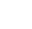 PVS